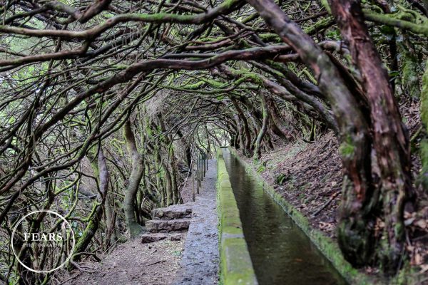 Madeira
