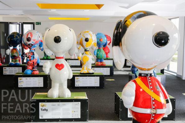 A Dog’s Trail VIP Launch Dogs Trust
